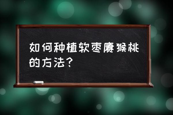 家庭盆栽软枣猕猴桃注意事项 如何种植软枣猕猴桃的方法？