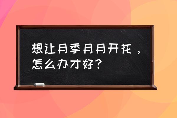 怎么用新鲜的生剩菜做菜饼 想让月季月月开花，怎么办才好？