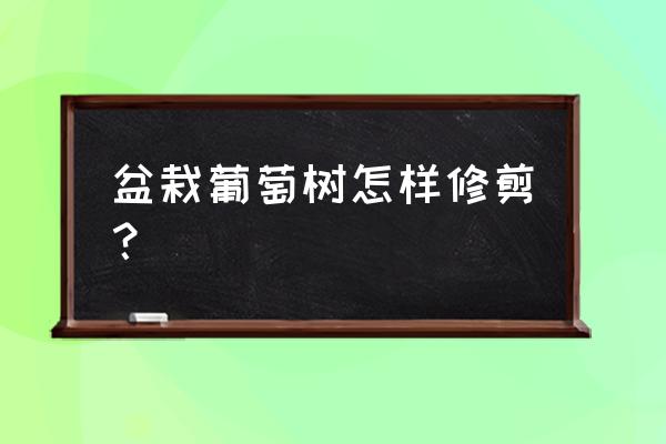 老桩葡萄怎么修剪 盆栽葡萄树怎样修剪？