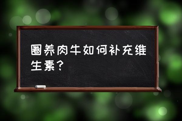 怎么提升扩大养殖肉牛规模的方法 圈养肉牛如何补充维生素？