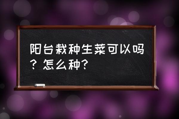 阳台生菜种类大全 阳台栽种生菜可以吗？怎么种？