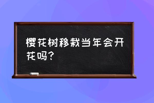 樱花胸径10厘米多少钱一棵 樱花树移栽当年会开花吗？