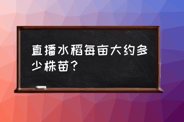 水稻直播高产栽培技术 直播水稻每亩大约多少株苗？