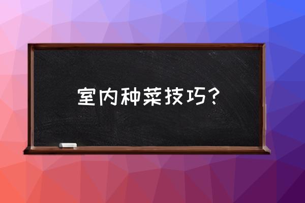 快速种菜方法大全 室内种菜技巧？