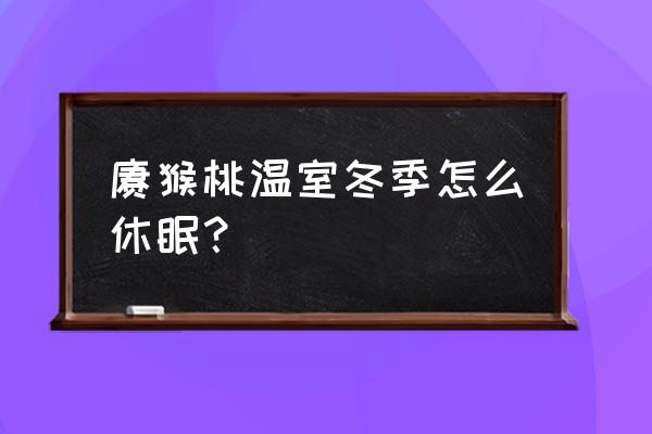 冬天猕猴桃太冷怎么吃 猕猴桃温室冬季怎么休眠？