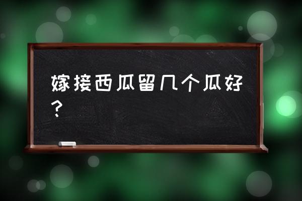 8424一棵苗结几个瓜 嫁接西瓜留几个瓜好？