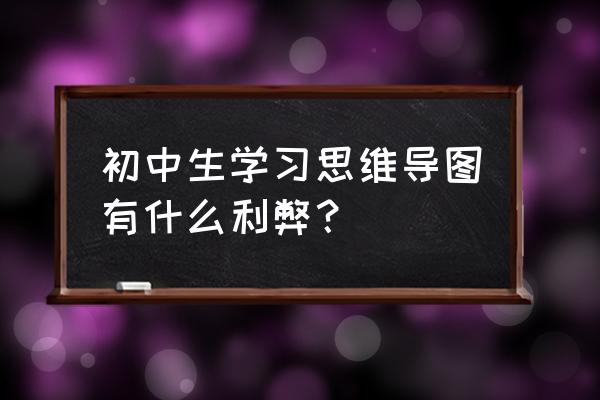 小学生学习计划思维导图 初中生学习思维导图有什么利弊？