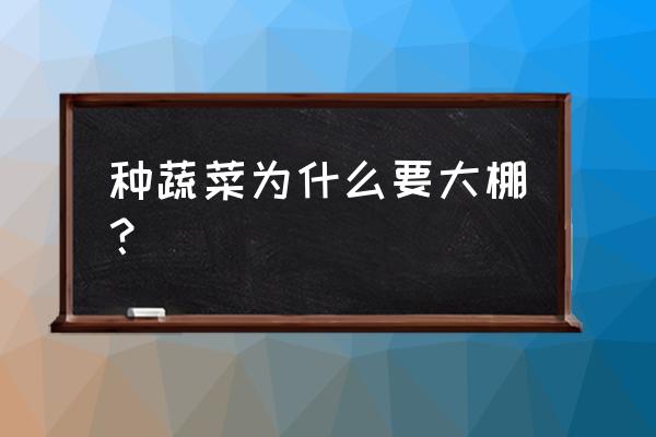 蔬菜大棚温室建设 种蔬菜为什么要大棚？