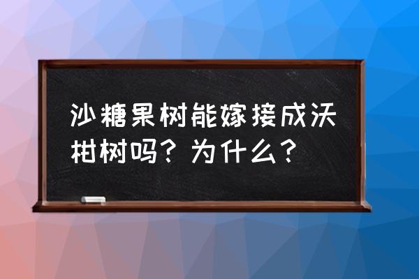 砂糖橘带枝条好还是不带的好 沙糖果树能嫁接成沃柑树吗？为什么？