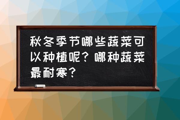 赞美冬天的菜 秋冬季节哪些蔬菜可以种植呢？哪种蔬菜最耐寒？