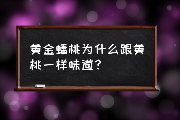 油蟠桃核的好处和坏处 黄金蟠桃为什么跟黄桃一样味道？