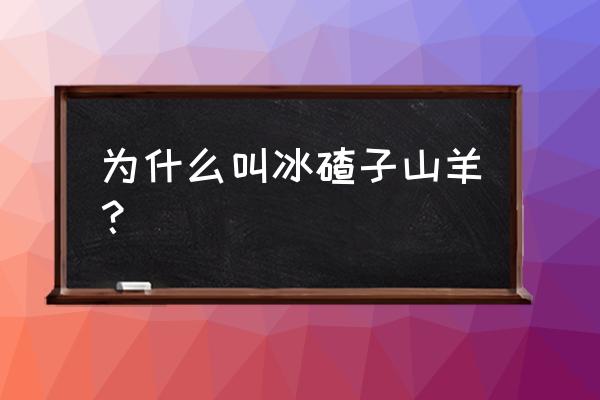 冬天生的羊宝宝取名 为什么叫冰碴子山羊？