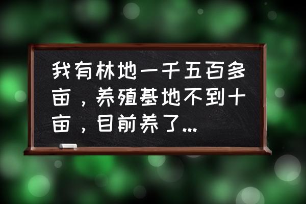 全国唯一的香猪保育基地在什么县 我有林地一千五百多亩，养殖基地不到十亩，目前养了200多头黑猪，哪位大神指点一？