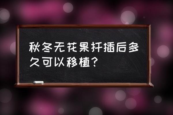 无花果老枝扦插 秋冬无花果扦插后多久可以移植？