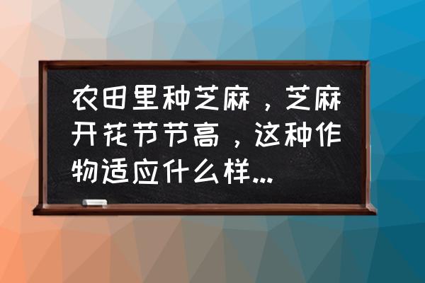 为什么芝麻开花时间长 农田里种芝麻，芝麻开花节节高，这种作物适应什么样的天气高产？