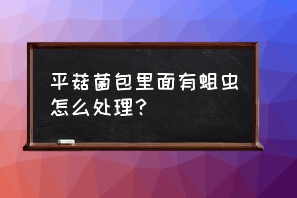 二氯异氰尿酸钠熏蒸消毒怎么操作 平菇菌包里面有蛆虫怎么处理？