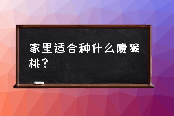 阳台种植猕猴桃哪个品种最好 家里适合种什么猕猴桃？