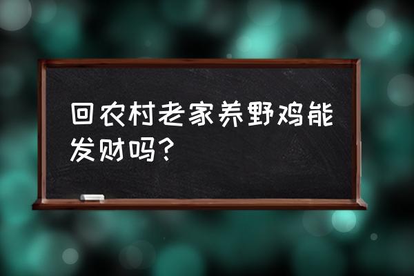 500只山鸡一年的利润 回农村老家养野鸡能发财吗？