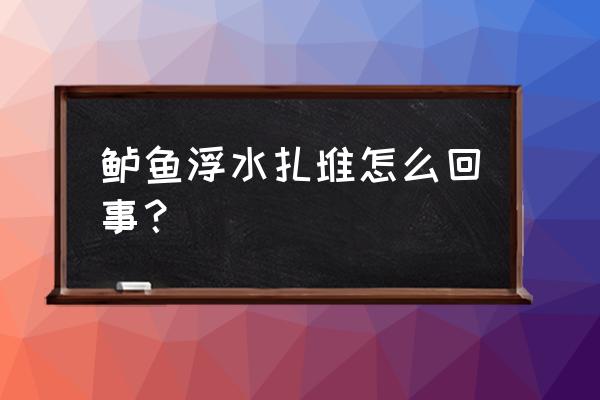 弧菌爆发的前兆 鲈鱼浮水扎堆怎么回事？