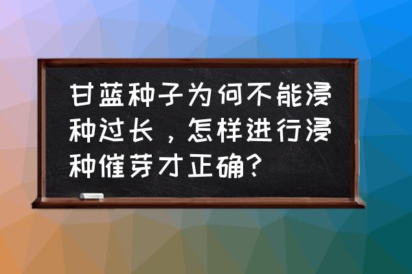 提高自己抗逆力的方法 甘蓝种子为何不能浸种过长，怎样进行浸种催芽才正确？