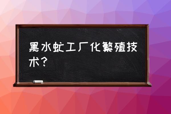 黑水虻养殖技术全过程图 黑水虻工厂化繁殖技术？