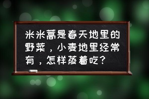 荠菜里有白虫子怎么办 米米蒿是春天地里的野菜，小麦地里经常有，怎样蒸着吃？