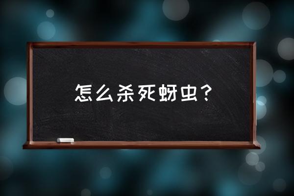 白蚜虫防治自制万能杀虫水 怎么杀死蚜虫？