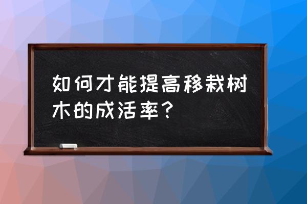 苗木怎么移栽最好 如何才能提高移栽树木的成活率？