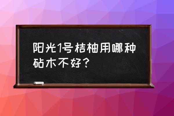 枳壳的种植技术及亩产效益 阳光1号桔柚用哪种砧木不好？