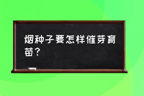 手工发芽的种子怎么做 烟种子要怎样催芽育苗？