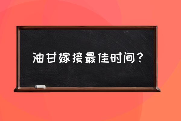 硬枝嫁接葡萄的最佳时间 油甘嫁接最佳时间？