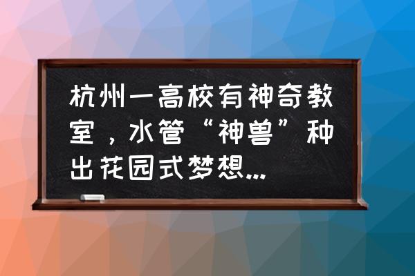 神奇的种植 杭州一高校有神奇教室，水管“神兽”种出花园式梦想，你怎么看？