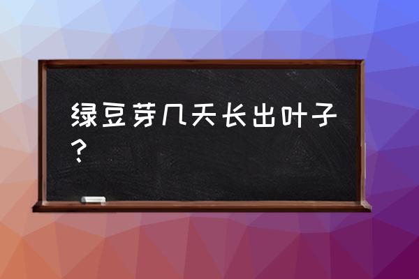 绿豆苗做法大全家常 绿豆芽几天长出叶子？