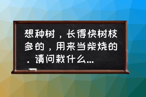 大树催芽最快的方法 想种树，长得快树枝多的，用来当柴烧的。请问栽什么样的树最好？