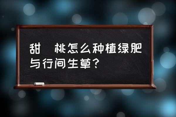 种植绿肥最佳方法 甜櫻桃怎么种植绿肥与行间生草？