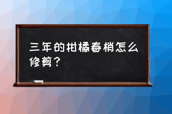 用什么办法加快柑橘春梢老熟 三年的柑橘春梢怎么修剪？