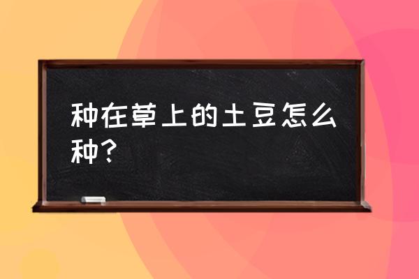 阳台种土豆的最佳时间 种在草上的土豆怎么种？