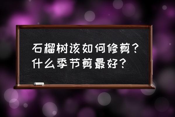 树的生长阶段分哪几个 石榴树该如何修剪？什么季节剪最好？