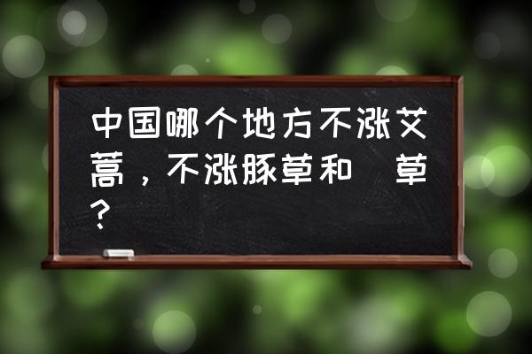 矮豚草又叫什么 中国哪个地方不涨艾蒿，不涨豚草和葎草？