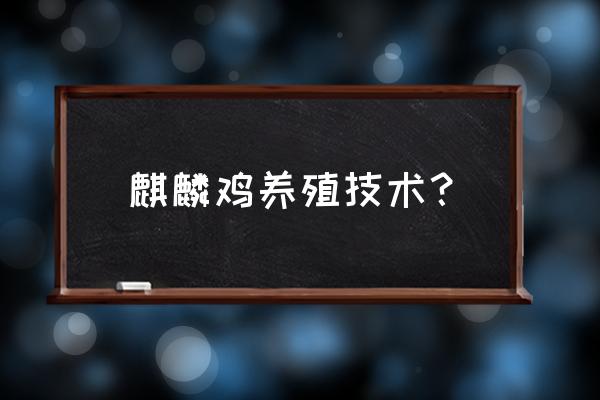 人工养殖土鸡最佳方法 麒麟鸡养殖技术？