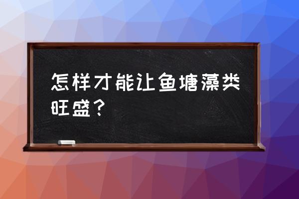 池塘水质老化怎么补救 怎样才能让鱼塘藻类旺盛？