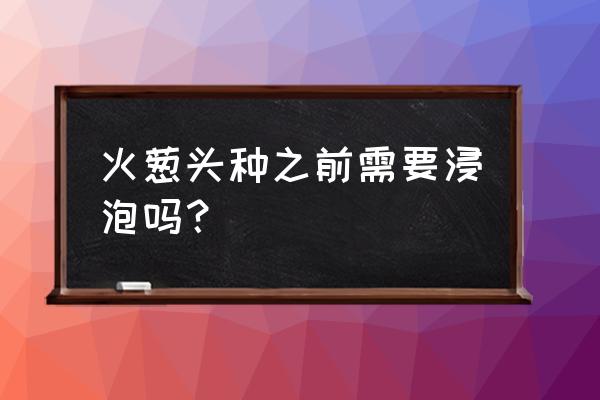 红葱种植的正确方法 火葱头种之前需要浸泡吗？