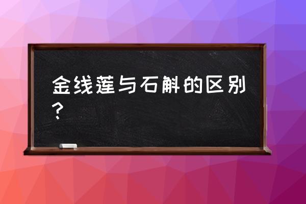 金线莲石斛陶粒种植方法 金线莲与石斛的区别？