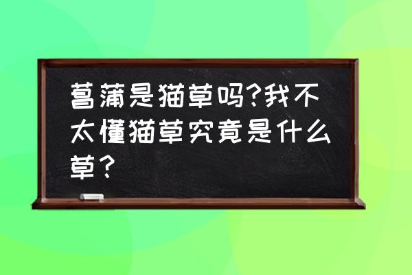 生物化学中cat的中文全称 菖蒲是猫草吗?我不太懂猫草究竟是什么草？