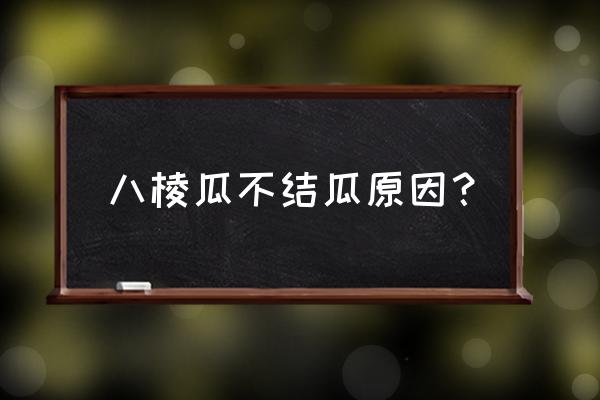 八棱瓜的做法和配方 八棱瓜不结瓜原因？