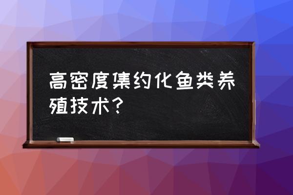 高密度养鱼的正确方法个人 高密度集约化鱼类养殖技术？