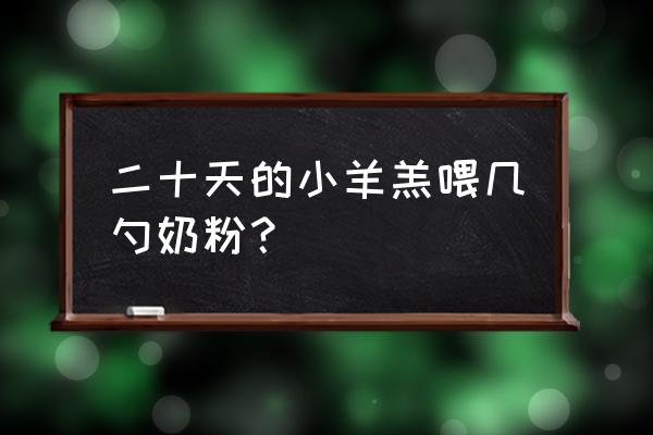 初生羔羊如何人工喂养喂多少 二十天的小羊羔喂几勺奶粉？