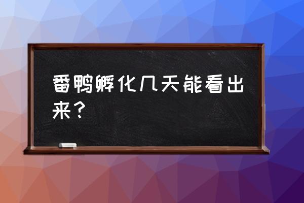 简单实用的番鸭疾病预防流程 番鸭孵化几天能看出来？