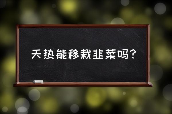 韭菜移栽后的注意事项和管理方法 天热能移栽韭菜吗？