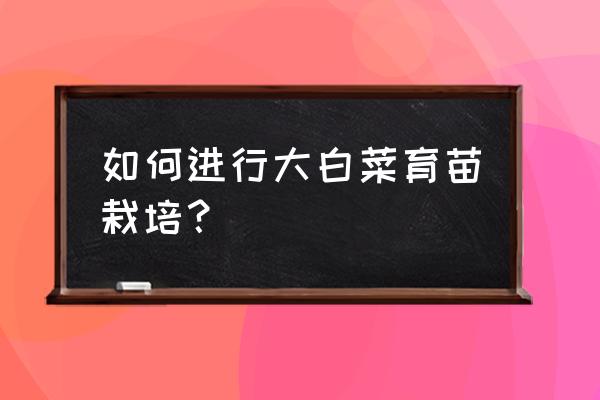 大白菜栽培和管理技术 如何进行大白菜育苗栽培？